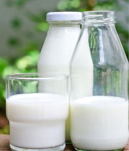 Süt Aletjen Test Kiti